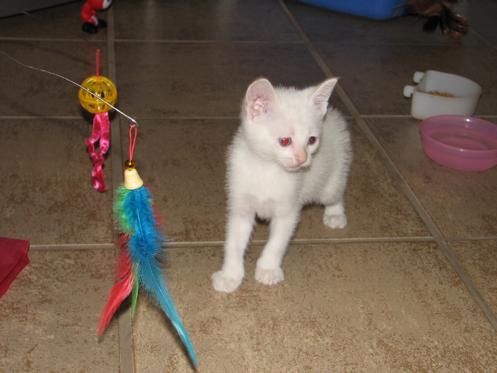 20100206 412.JPG